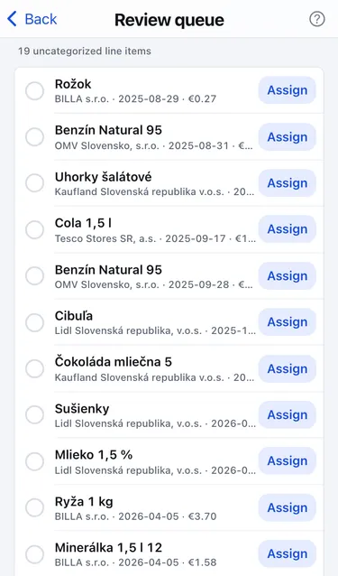The Review queue with 19 uncategorized line items such as Rožok and Benzín Natural 95, each with an Assign button